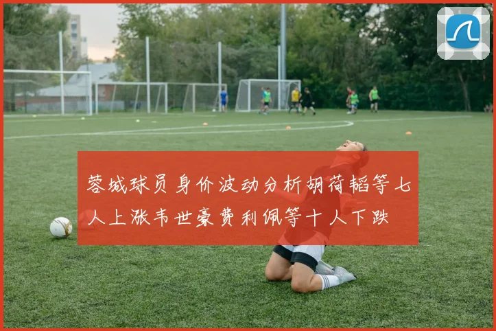 蓉城球员身价波动分析胡荷韬等七人上涨韦世豪费利佩等十人下跌