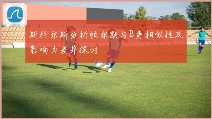 斯科尔斯分析帕尔默与B费相似性及影响力差异探讨